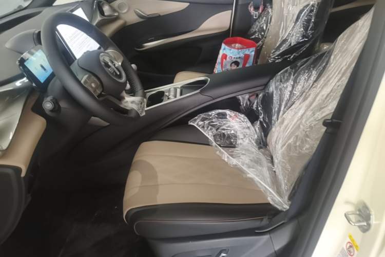 Used BYD Dolphin 2025 420km Free Edition Left Front Seat