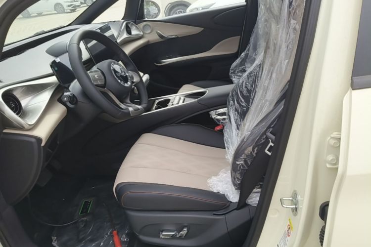 Used BYD Dolphin 2025 420km Free Edition Left Front Seat