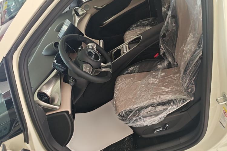 Used BYD Dolphin 2025 420km Free Edition Left Front Seat