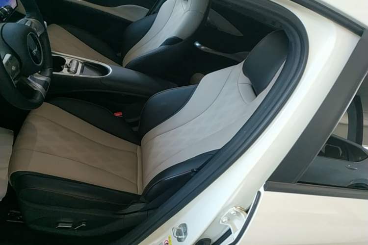 Used BYD Dolphin 2025 420km Free Edition Left Front Seat