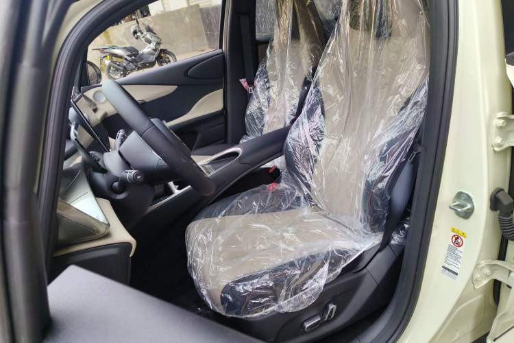 Used BYD Dolphin 2025 420km Free Edition Left Front Seat