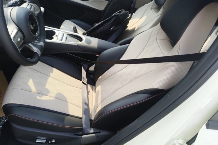 Used BYD Dolphin 2025 420km Free Edition Left Front Seat