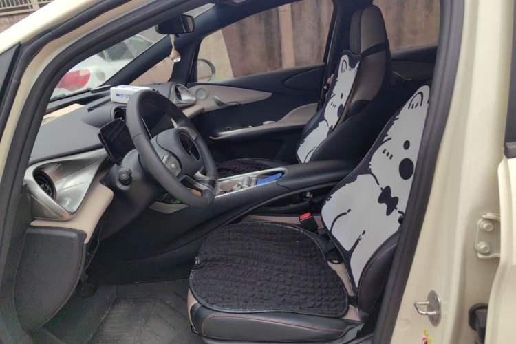 Used BYD Dolphin 2025 420km Active Version Left Front Seat