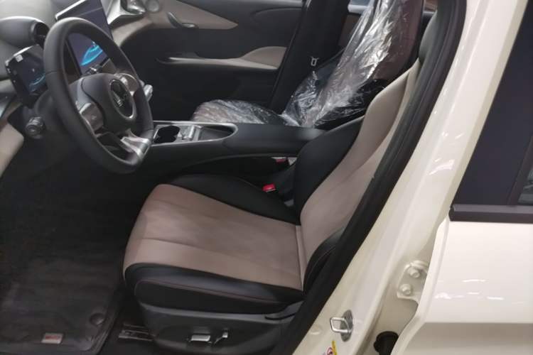 Used BYD Dolphin 2025 420km Free Edition Left Front Seat