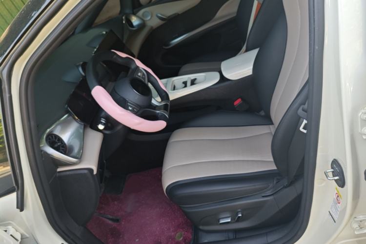 Used BYD Dolphin 2025 Smart Drive Version 420 km Freedom Edition Left Front Seat