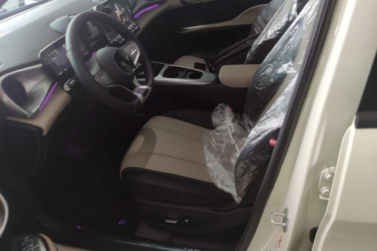 Used BYD Dolphin 2025 Smart Drive Version 420 km Freedom Edition Left Front Seat