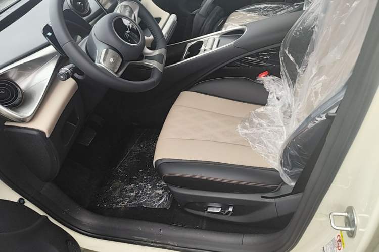 Used BYD Dolphin 2025 420km Free Edition Left Front Seat