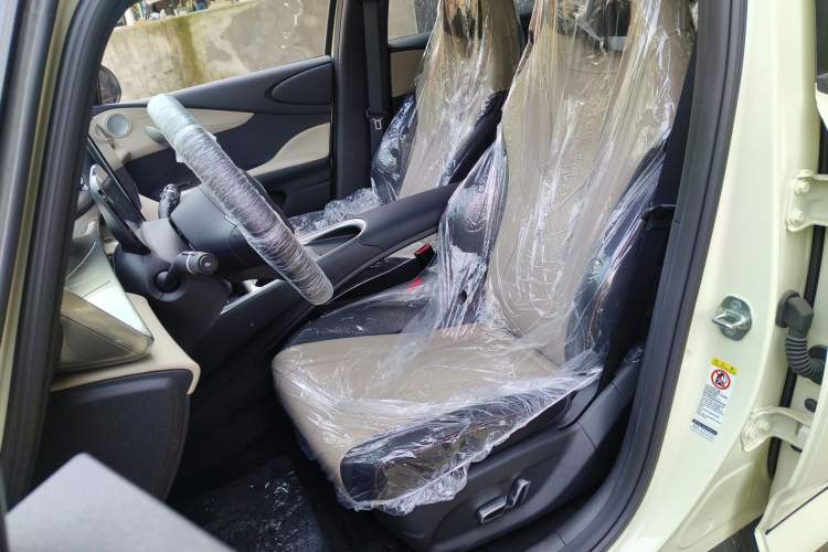 Used BYD Dolphin 2025 420km Free Edition Left Front Seat