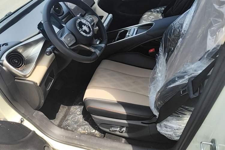 Used BYD Dolphin 2025 420km Free Edition Left Front Seat