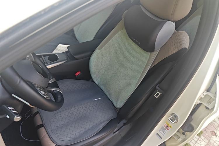 Used BYD Dolphin 2025 Smart Drive Version 420 km Freedom Edition Left Front Seat