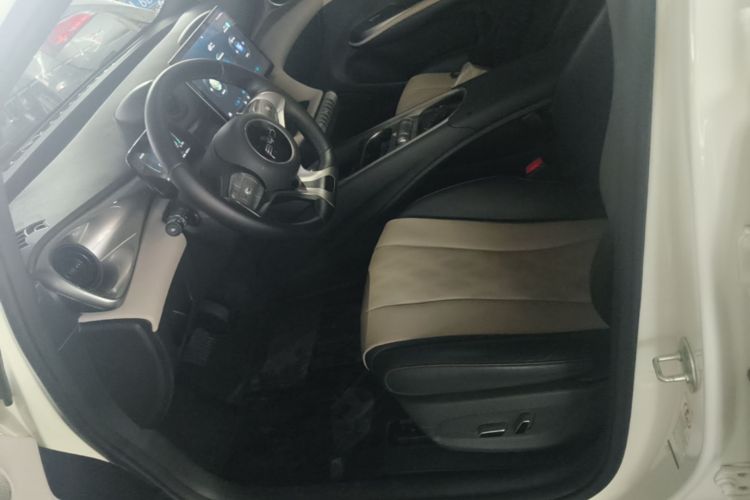 Used BYD Dolphin 2025 420km Fashion Edition Left Front Seat