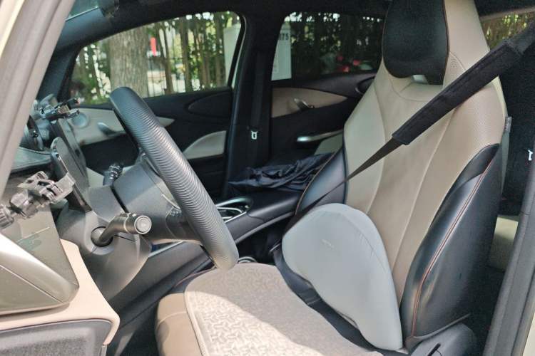 Used BYD Dolphin 2025 420km Free Edition Left Front Seat
