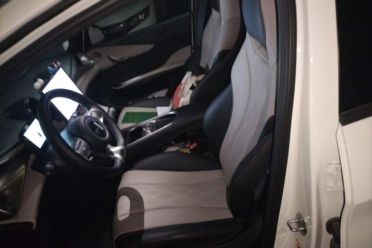 Used BYD Dolphin 2025 420km Free Edition Left Front Seat