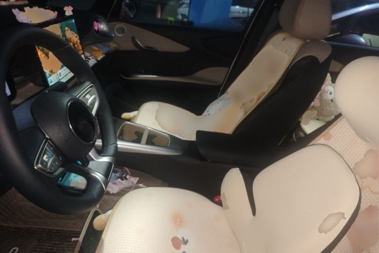 Used BYD Dolphin 2025 Smart Drive Version 420 km Freedom Edition Left Front Seat