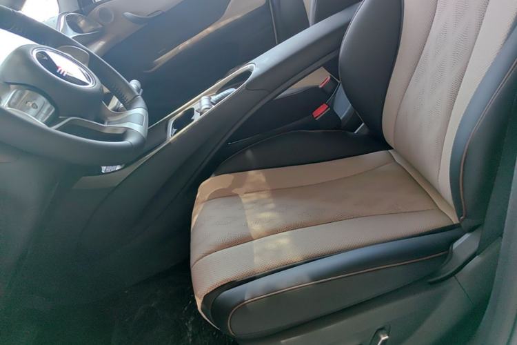 Used BYD Dolphin 2025 420km Free Edition Left Front Seat