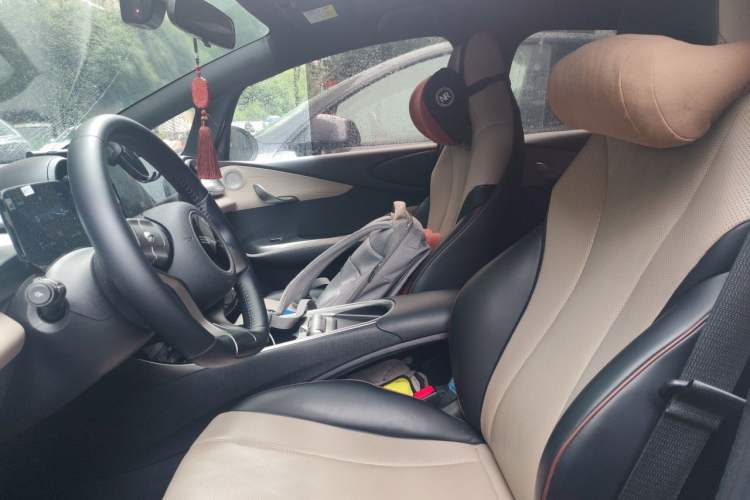 Used BYD Dolphin 2025 420km Free Edition Left Front Seat