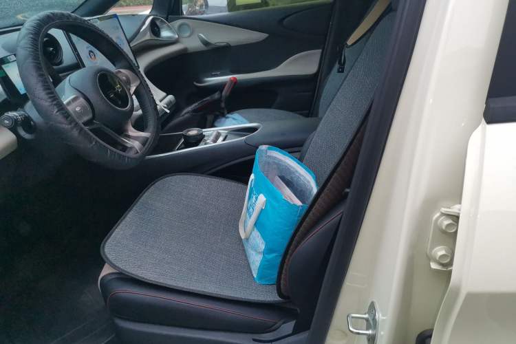Used BYD Dolphin 2025 420km Free Edition Left Front Seat