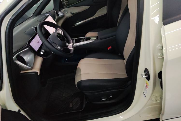 Used BYD Dolphin 2025 Smart Drive Version 420 km Freedom Edition Left Front Seat