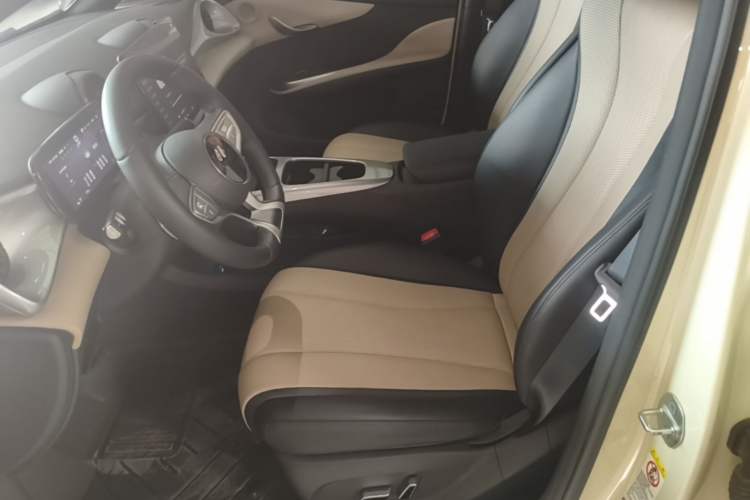 Used BYD Dolphin 2025 Smart Drive Version 420 km Freedom Edition Left Front Seat