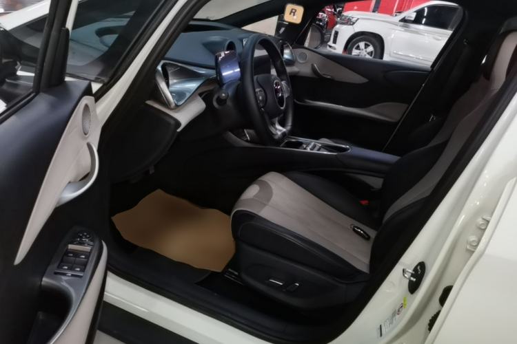 Used BYD Dolphin 2025 420km Free Edition Left Front Seat