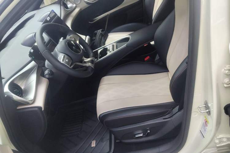Used BYD Dolphin 2025 420km Free Edition Left Front Seat