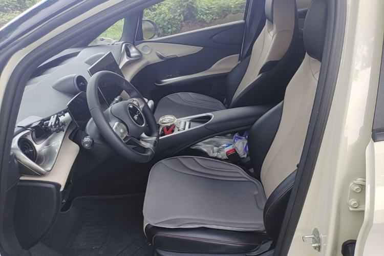 Used BYD Dolphin 2025 420km Free Edition Left Front Seat