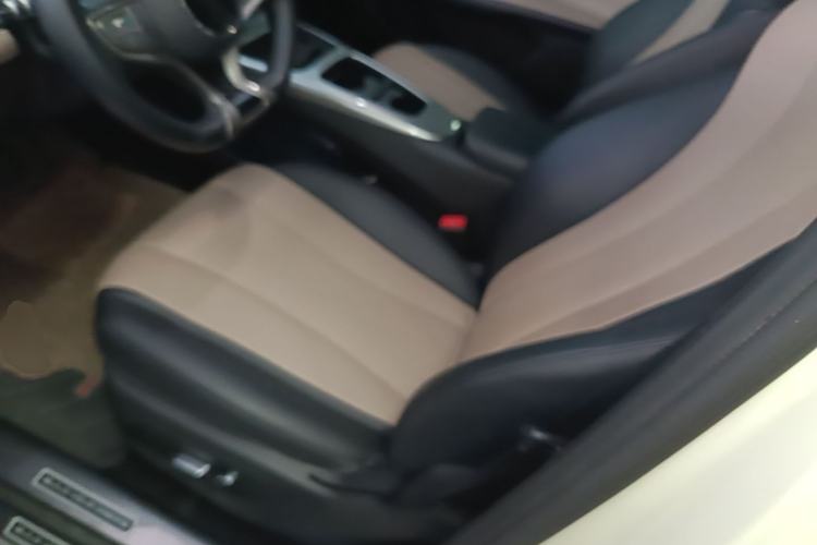 Used BYD Dolphin 2025 Smart Drive Version 420 km Freedom Edition Left Front Seat