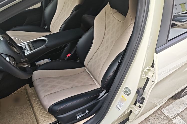 Used BYD Dolphin 2025 420km Free Edition Left Front Seat