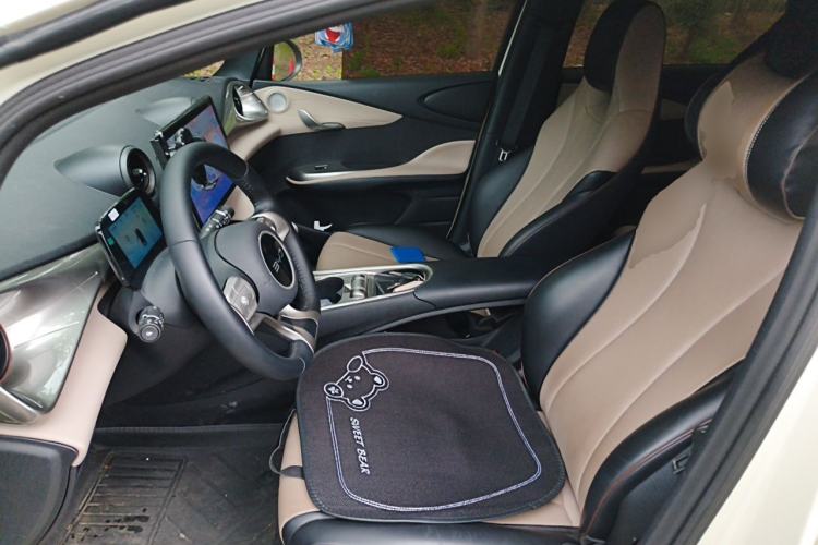 Used BYD Dolphin 2025 420km Free Edition Left Front Seat
