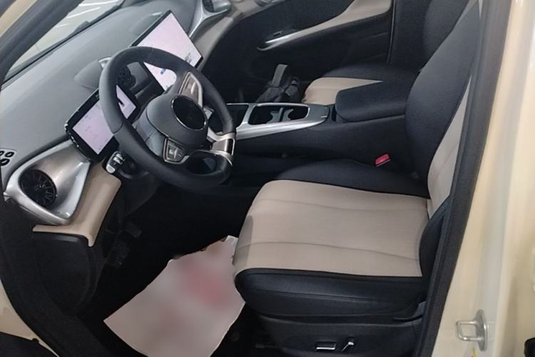 Used BYD Dolphin 2025 Smart Drive Version 420 km Freedom Edition Left Front Seat