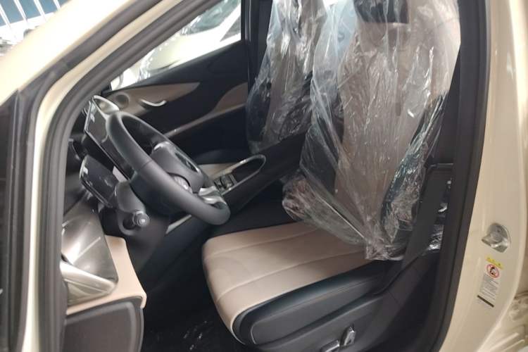 Used BYD Dolphin 2025 420km Free Edition Left Front Seat