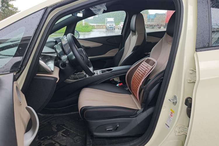Used BYD Dolphin 2025 420km Free Edition Left Front Seat