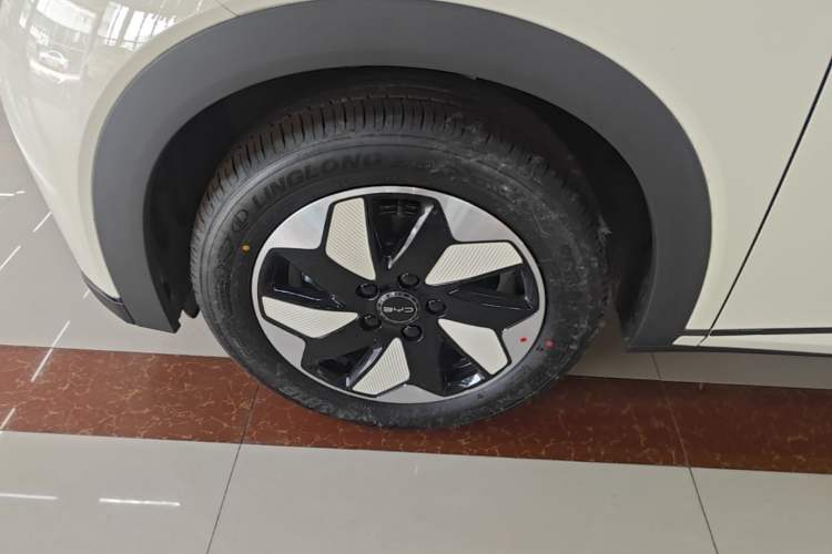 Used BYD Dolphin 2025 420km Free Edition Left Front Wheel Hub