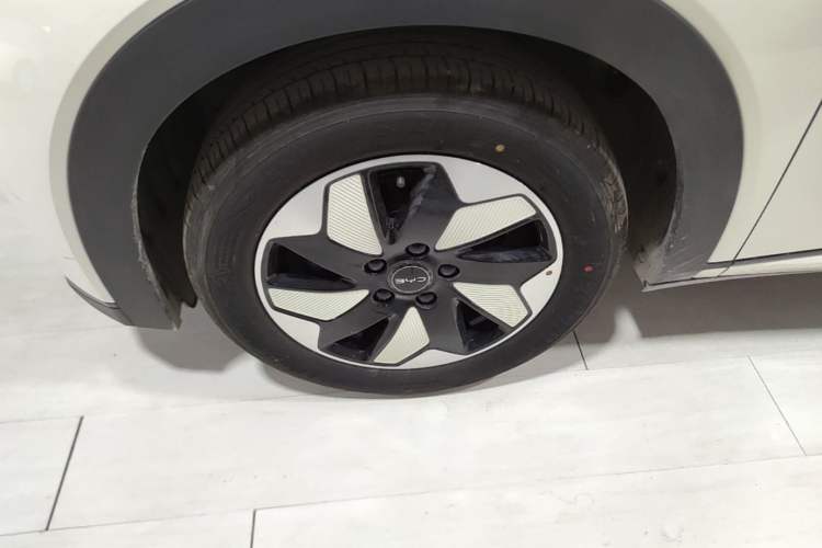 Used BYD Dolphin 2025 420km Free Edition Left Front Wheel Hub