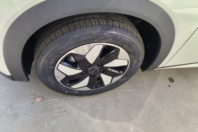 Used BYD Dolphin 2025 420km Free Edition Left Front Wheel Hub