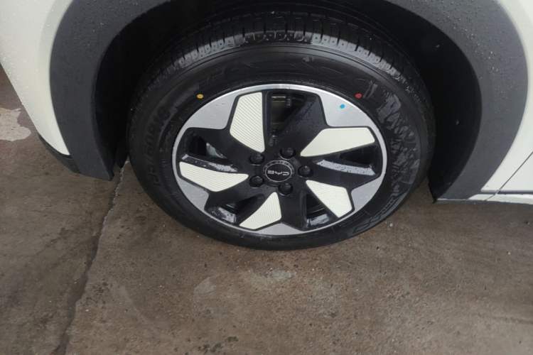 Used BYD Dolphin 2025 420km Free Edition Left Front Wheel Hub