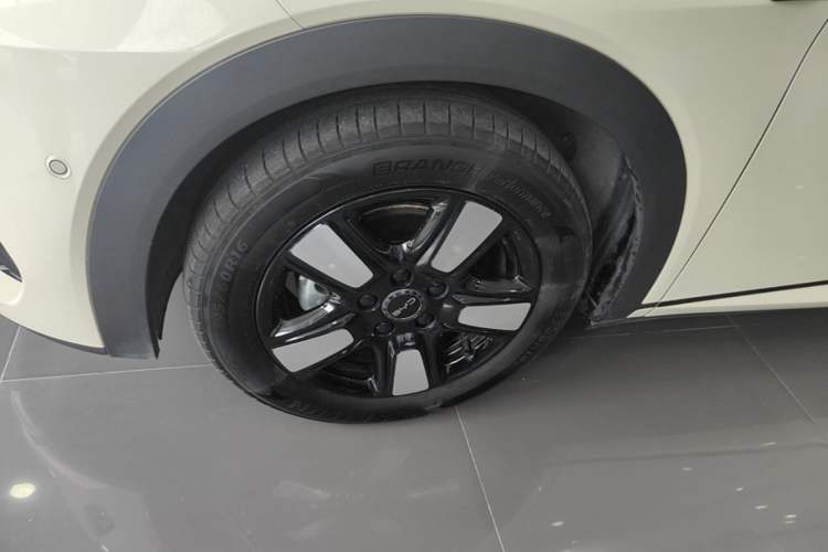 Used BYD Dolphin 2025 Intelligent Driving Version 410 km Fashion Edition Left Front Wheel Hub