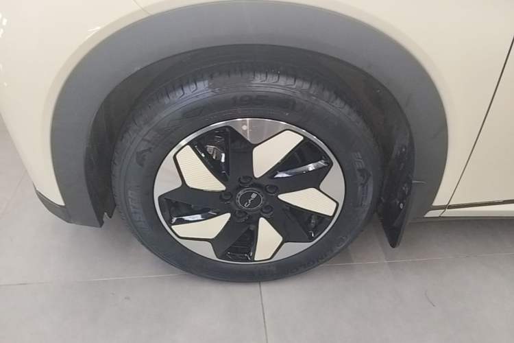 Used BYD Dolphin 2025 Smart Drive Version 420 km Freedom Edition Left Front Wheel Hub