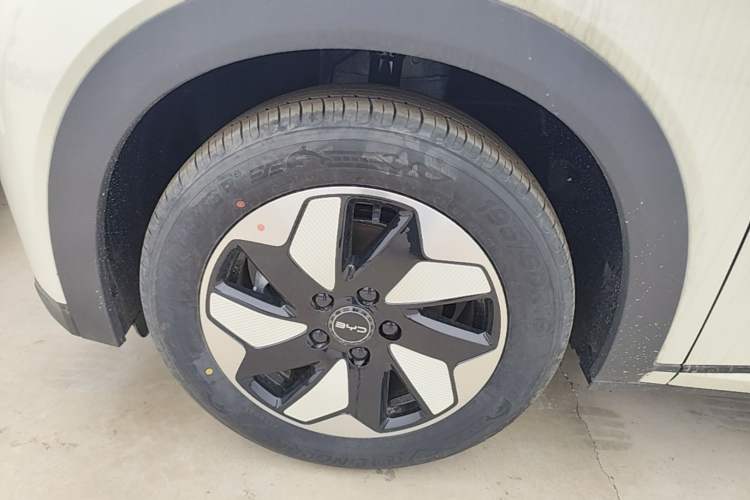 Used BYD Dolphin 2025 420km Free Edition Left Front Wheel Hub