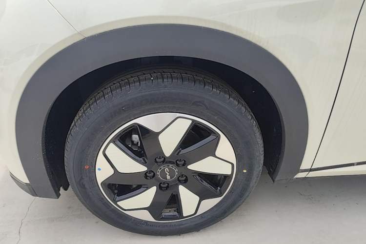 Used BYD Dolphin 2025 420km Free Edition Left Front Wheel Hub