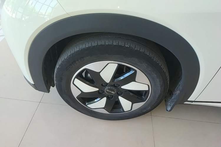 Used BYD Dolphin 2025 420km Free Edition Left Front Wheel Hub