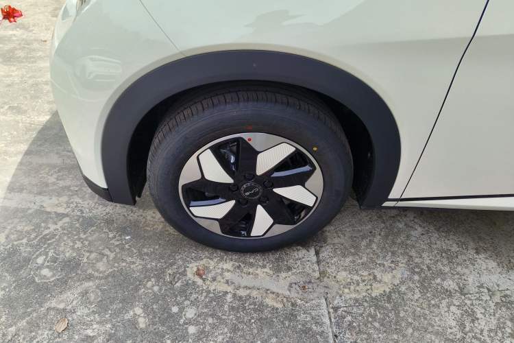 Used BYD Dolphin 2025 420km Free Edition Left Front Wheel Hub