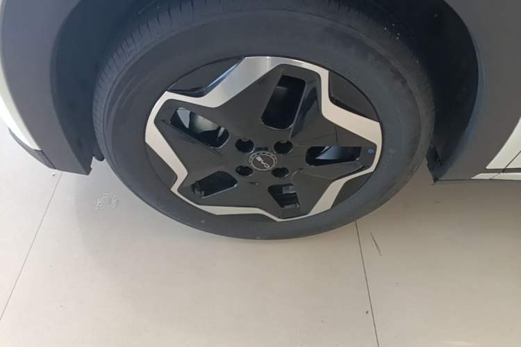 Used BYD Dolphin 2025 420km Active Version Left Front Wheel Hub