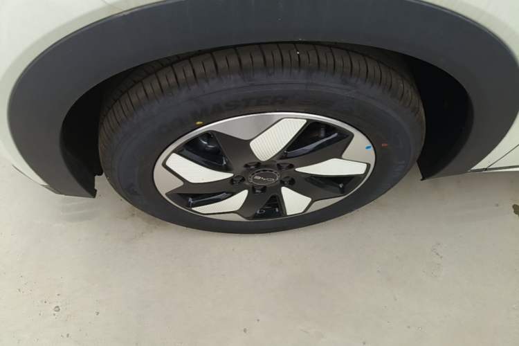 Used BYD Dolphin 2025 420km Free Edition Left Front Wheel Hub