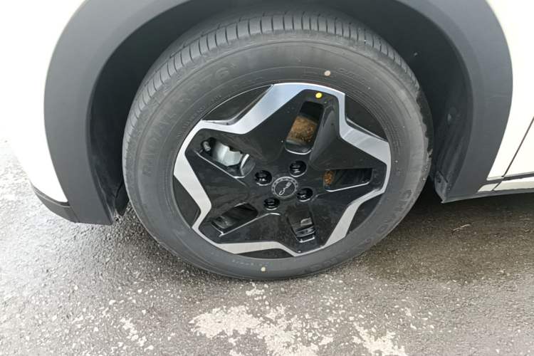 Used BYD Dolphin 2025 420km Active Version Left Front Wheel Hub