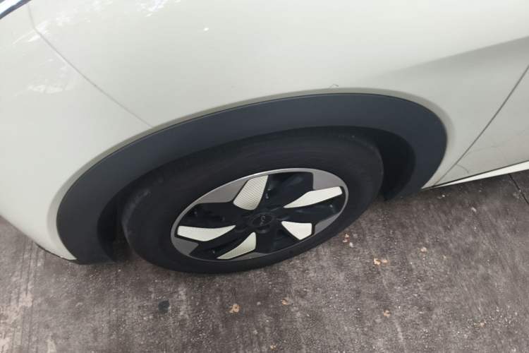 Used BYD Dolphin 2025 420km Free Edition Left Front Wheel Hub
