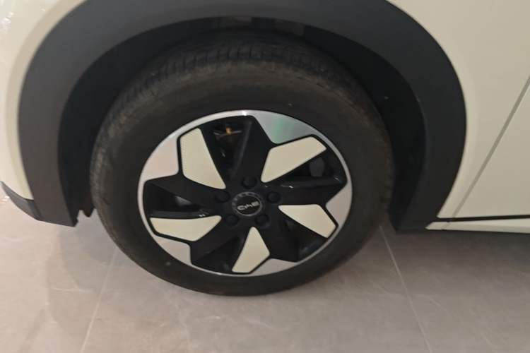 Used BYD Dolphin 2025 420km Fashion Edition Left Front Wheel Hub
