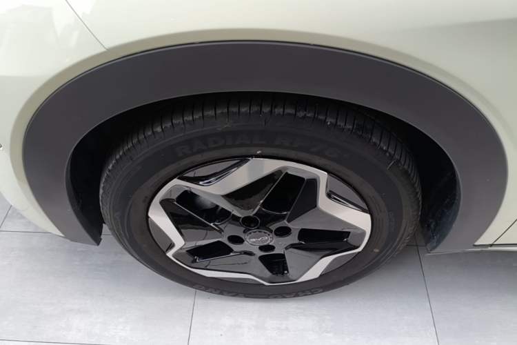 Used BYD Dolphin 2025 Smart Drive Version 420 km Freedom Edition Left Front Wheel Hub