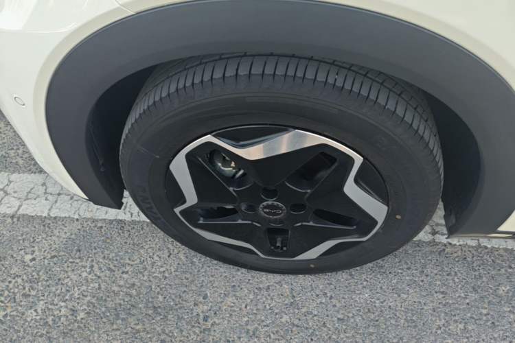 Used BYD Dolphin 2025 Smart Drive Version 420 km Freedom Edition Left Front Wheel Hub