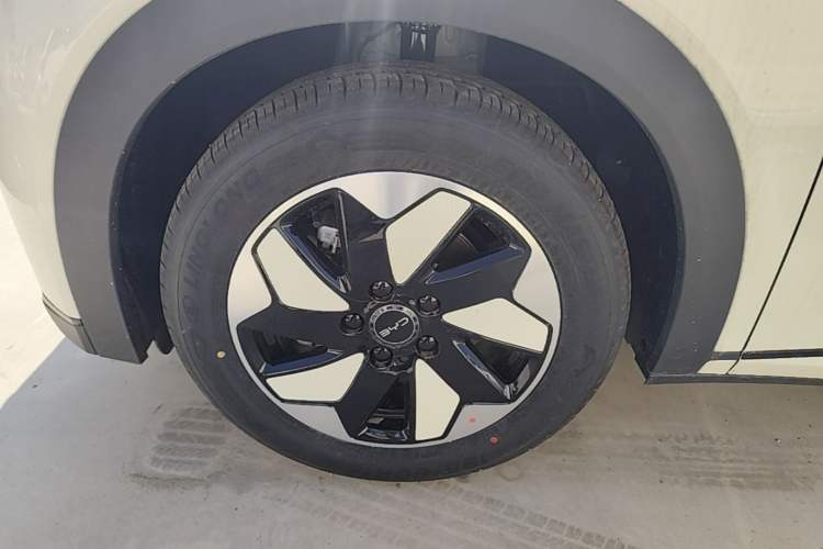 Used BYD Dolphin 2025 420km Free Edition Left Front Wheel Hub